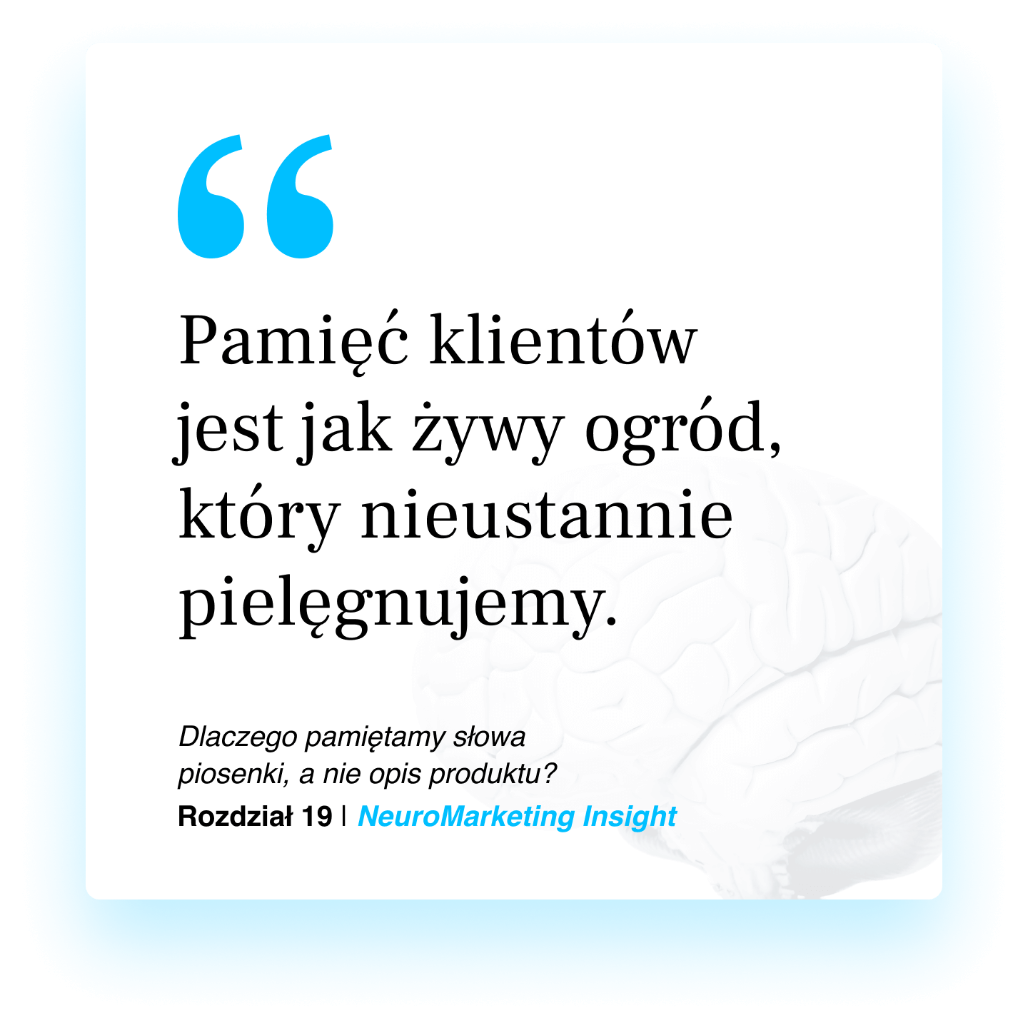 Pamięć klientów jest jak żywy ogród, który nieustannie pielęgnujemy.